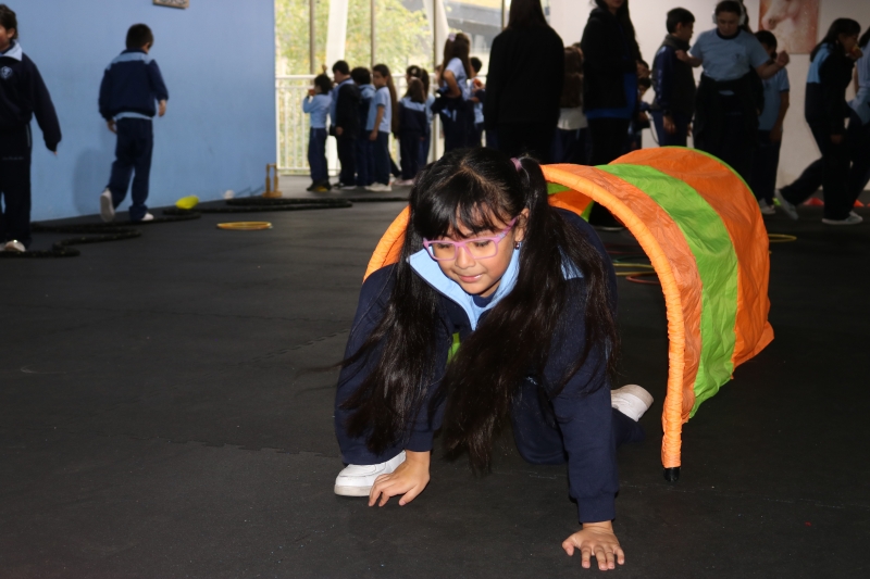 Día de la Actividad Física